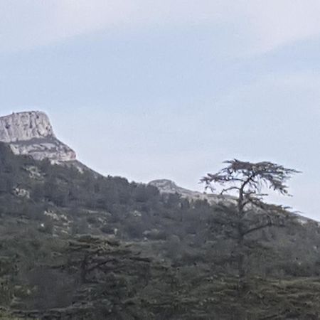 Charmant Appartement Neuf Le Taoume Marseilles Buitenkant foto