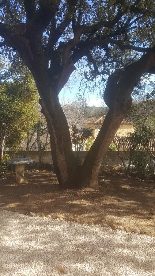 Charmant Appartement Neuf Le Taoume Marseilles Buitenkant foto