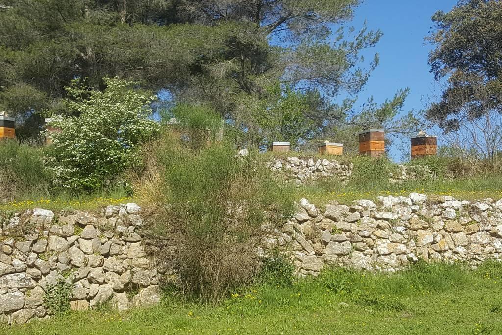 Charmant Appartement Neuf Le Taoume Marseilles Buitenkant foto